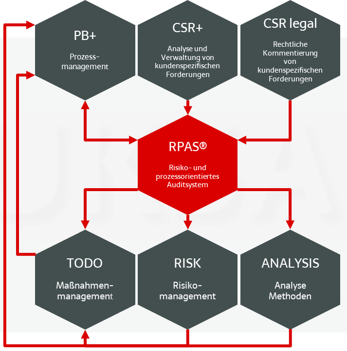 RPAS-Systematik